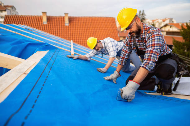 Best New Roof Installation  in Sunnyvale, CA